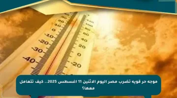 موجة حر قوية تضرب مصر اليوم الاثنين 11 أغسطس 2025.. كيف تتعامل معها؟